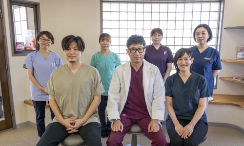 鬼臼毒素酊在哪里购买、鬼臼毒素酊去哪里买 -鬼臼毒素酊效果图片网